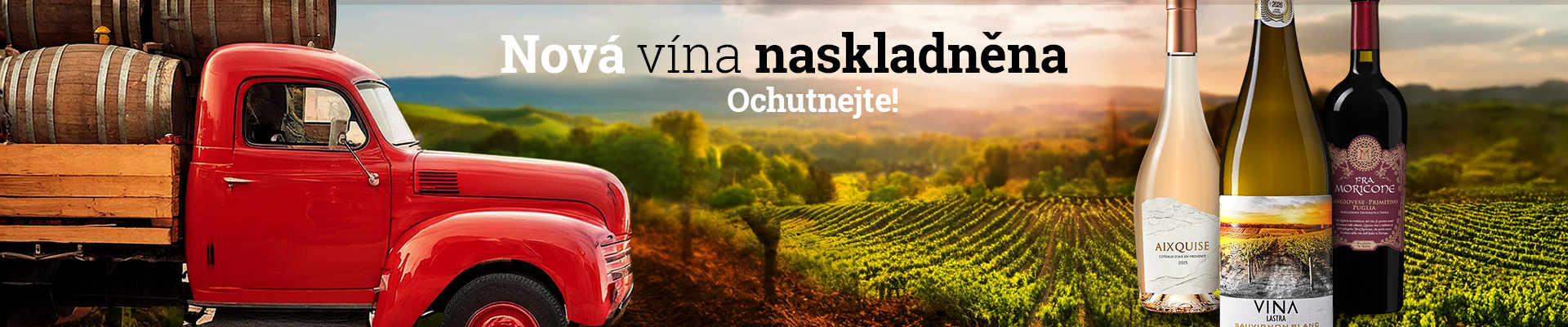 w25_banner_CZ_small_3